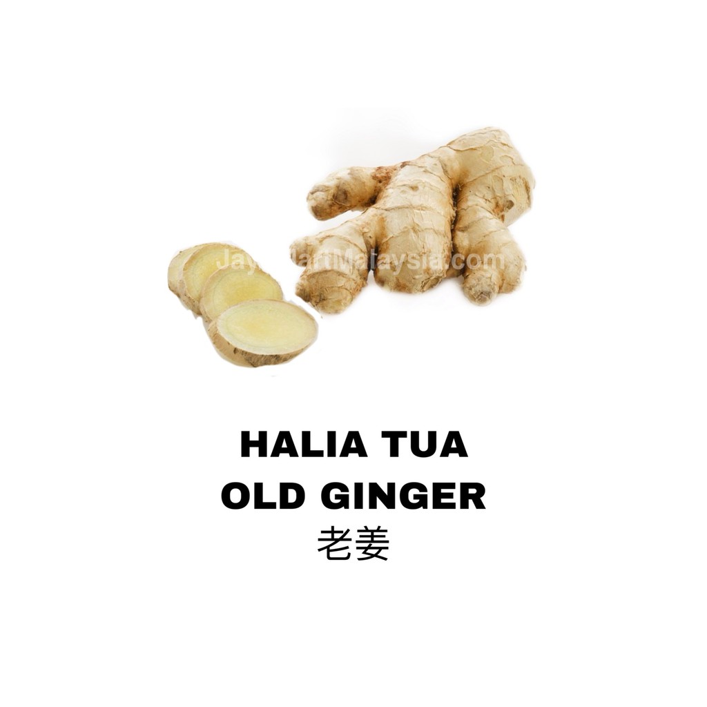 Halia Tua Price Promotion Jul 2021 Biggo Malaysia