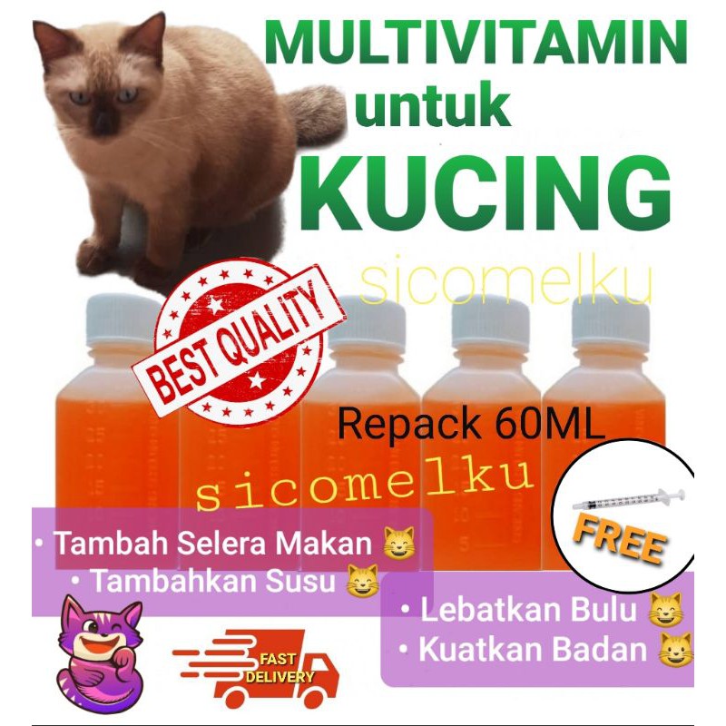 Kucing Susu Price Promotion Nov 2021 Biggo Malaysia