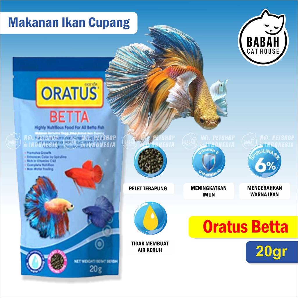 oratus betta fish food