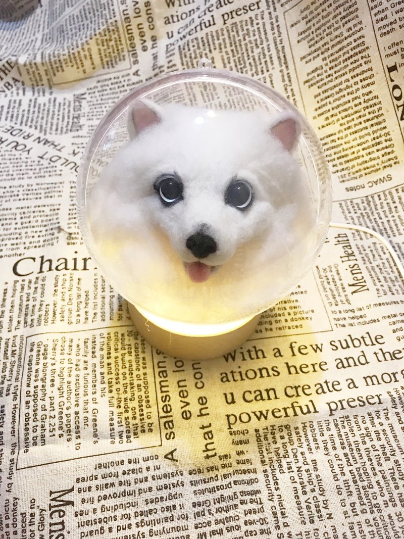 狐狸犬羊毛氈的價格推薦 21年10月 比價比個夠biggo