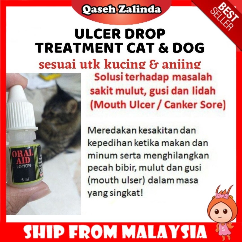 Kucing Ubat Price u0026 Promotion - Nov 2021 BigGo Malaysia