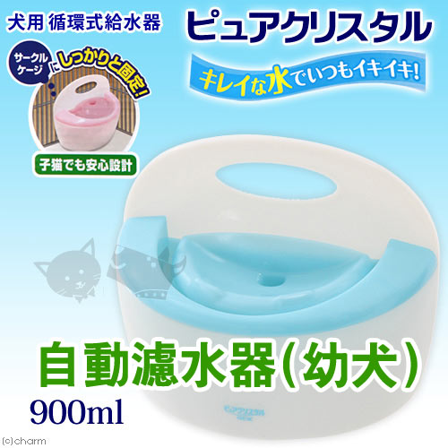 Gex 小型犬在購物網的價格推薦 21年7月 比價比個夠biggo