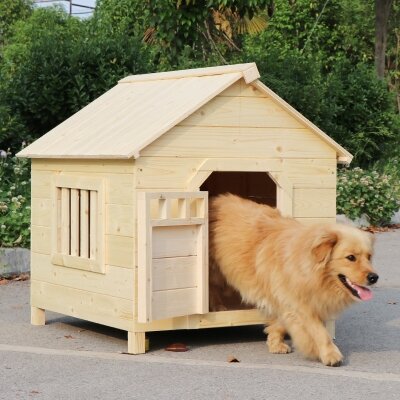 Dog House Indoor Price Promotion Nov 2021 Biggo Malaysia