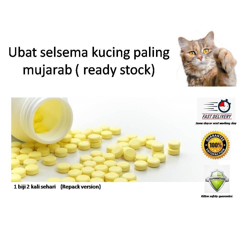 Ubat Selsema Kucing Price u0026 Promotion - Nov 2021 BigGo Malaysia