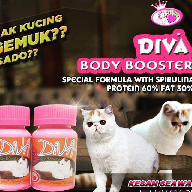 Cat Booster Diva Price u0026 Promotion - Nov 2021 BigGo Malaysia