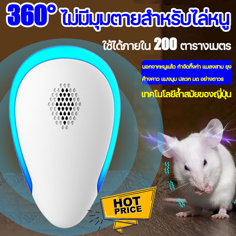 My Image 39