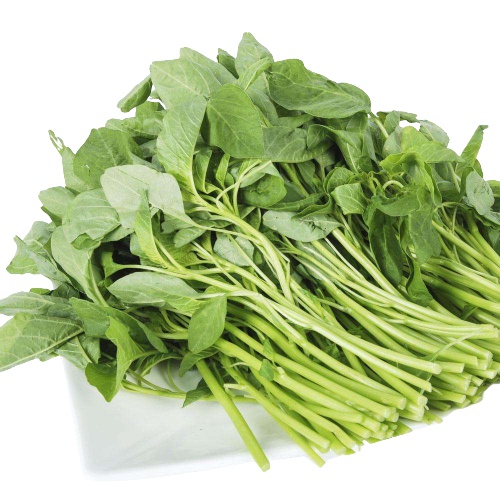 白杏菜的價格推薦 22年11月 比價比個夠biggo