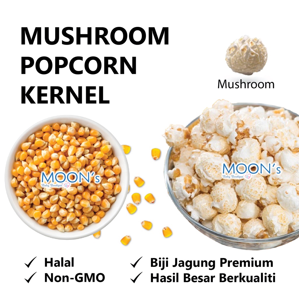 Popcorn Mushroom Best Price In Nov 2021 Biggo Singapore