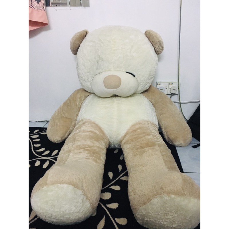 kaison teddy bear