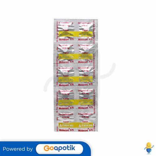 Harga Molacort Terbaru Januari 2023 |BigGo Indonesia