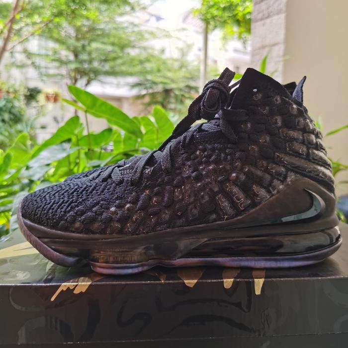 lebron 17 full black