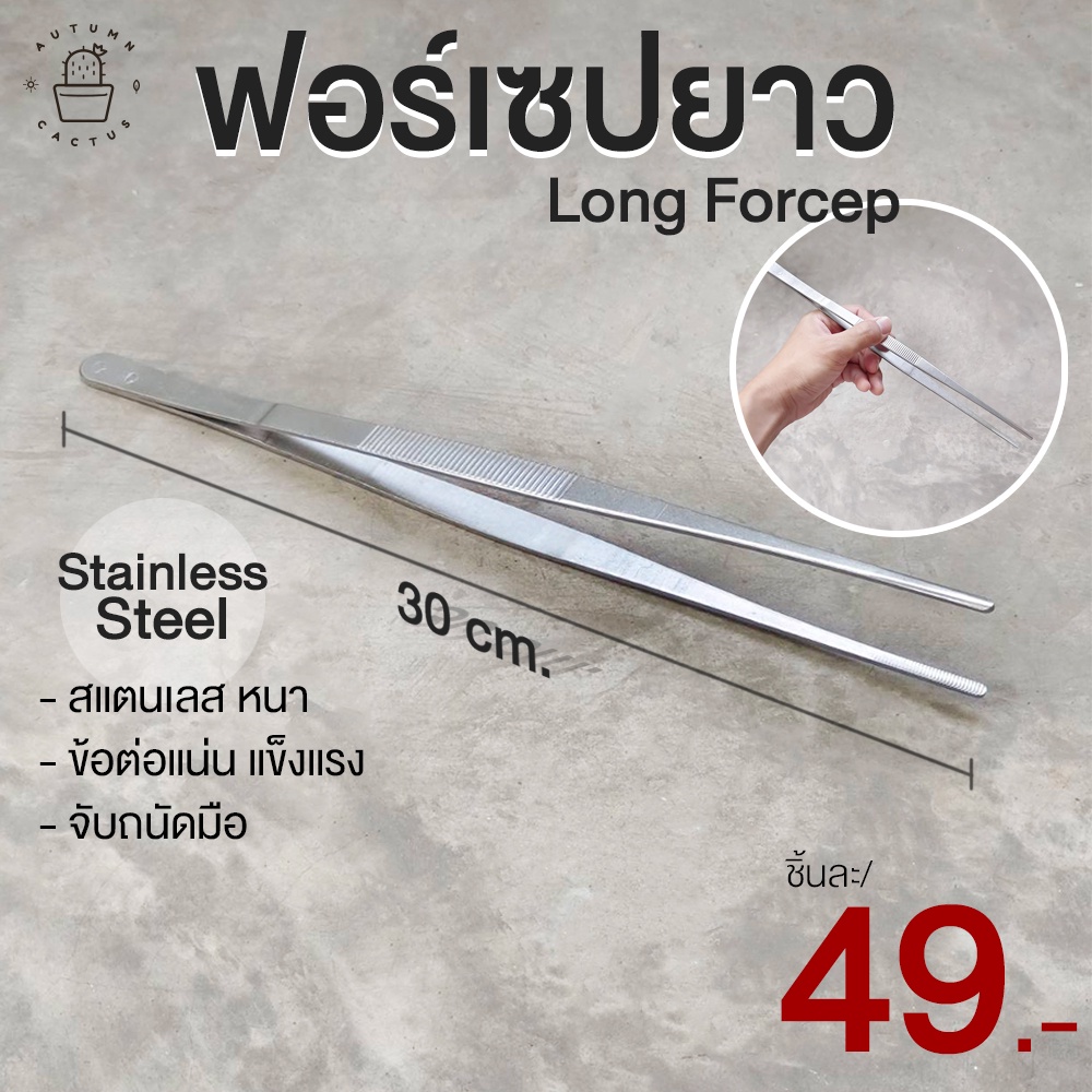 ฟ อ เซ ป ยาว