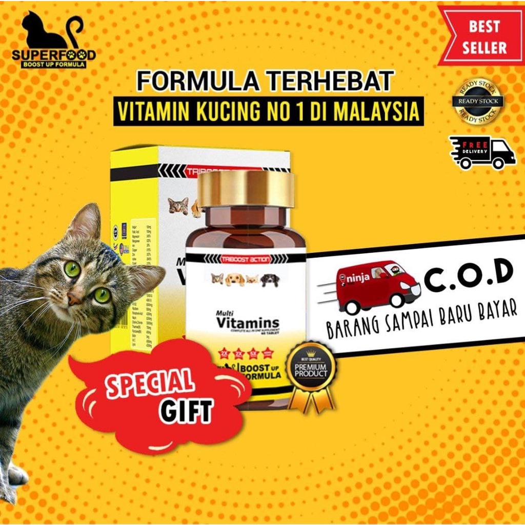 Superfood Kucing Price u0026 Promotion - Nov 2021 BigGo Malaysia