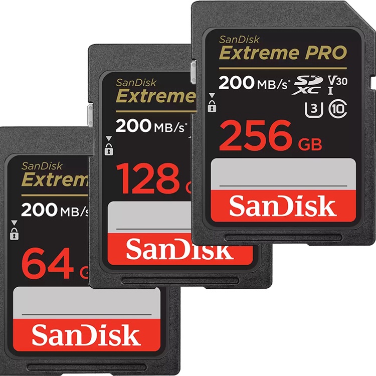 サンディスク Extreme PRO SDXCカード UHS-I U3 Class10 256GB 〔SDSDXPA-256G-JU3〕