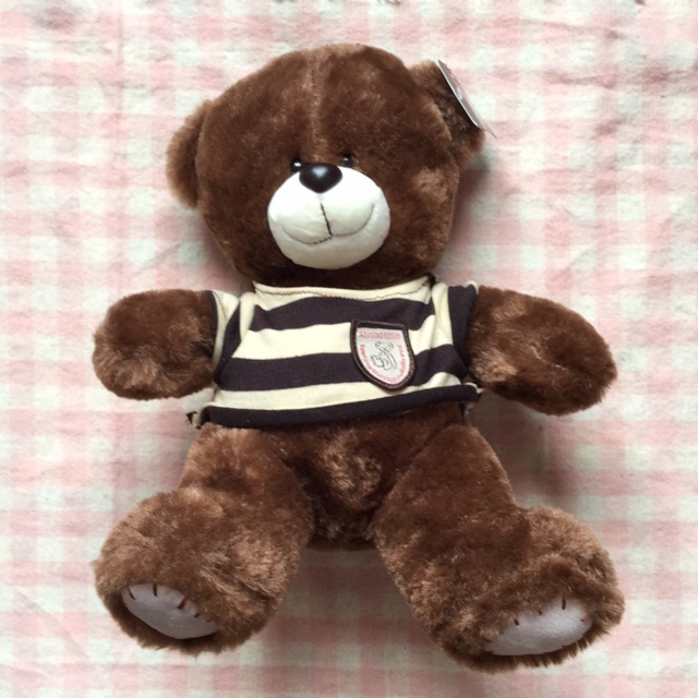 kaison teddy bear