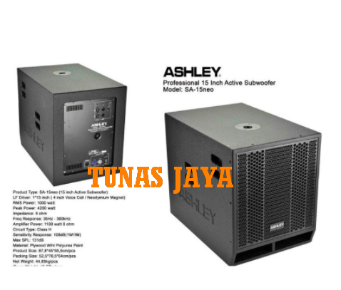 speaker ashley 15neo