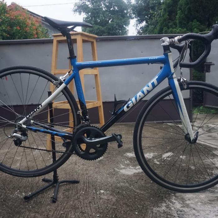 Giant TCR 3 Terbaru Juli 2022 |BigGo 