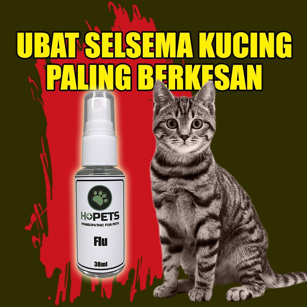 Ubat Kurap Kucing Paling Berkesan