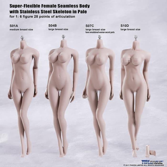 tbleague female seamless body