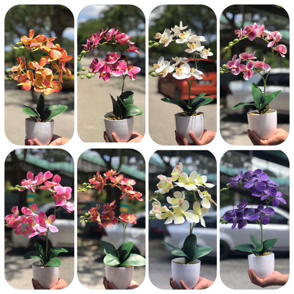 Orkid Latex Mini Price Promotion Feb 2021 Biggo Malaysia