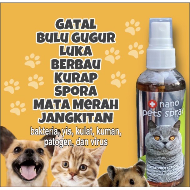 Ubat Gatal Kurap Kucing Price u0026 Promotion - Nov 2021 BigGo Malaysia