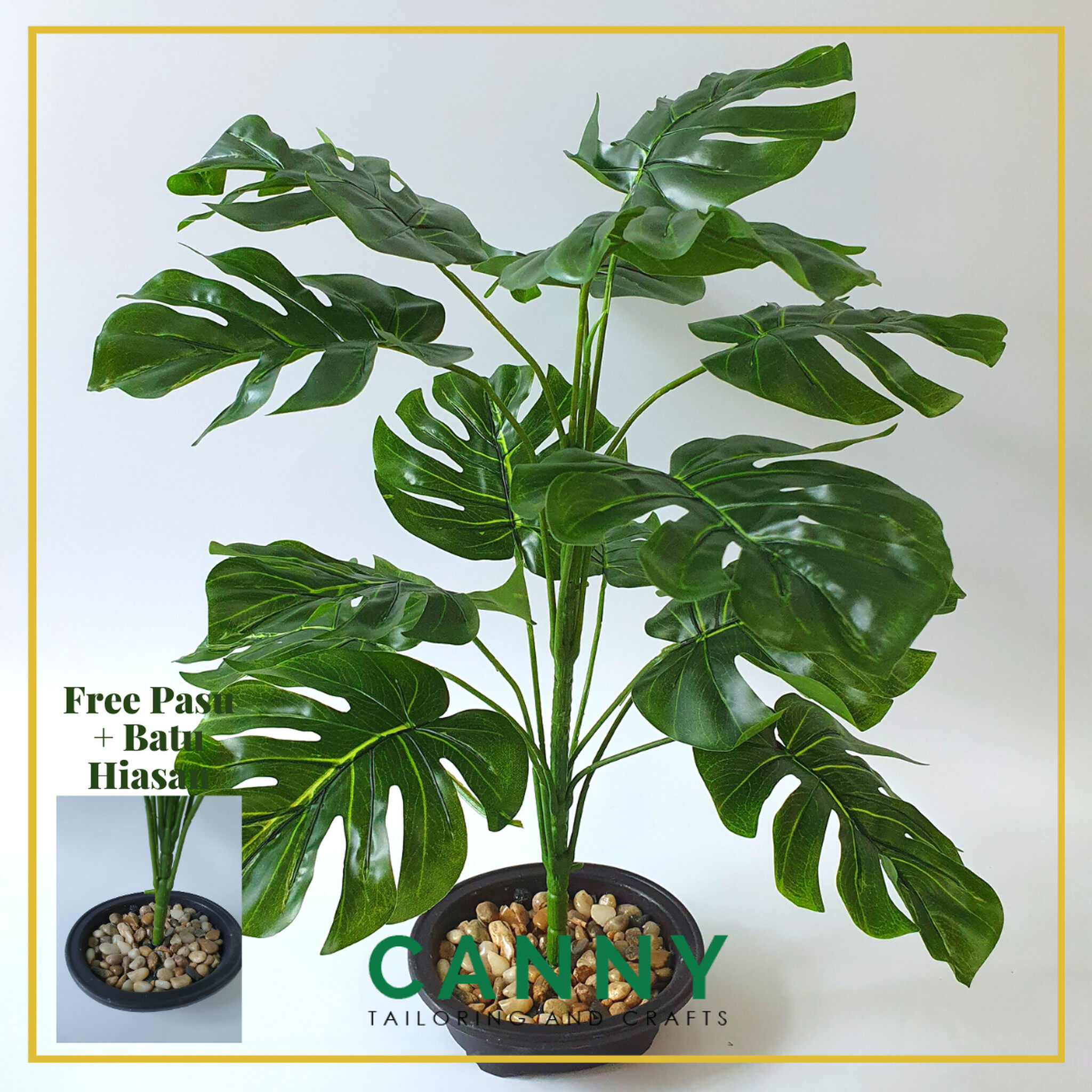 Daun Monstera Plant Price Promotion Nov 2021 Biggo Malaysia