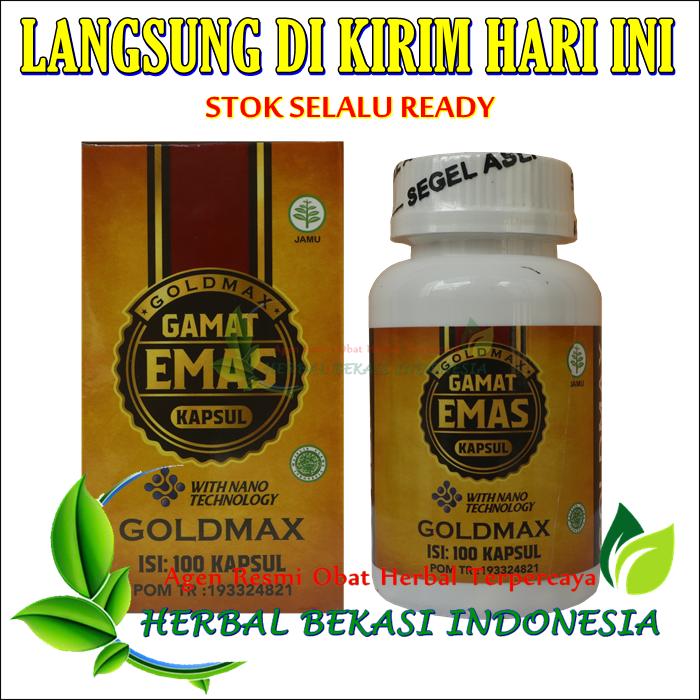 Harga Qnc Gamat Jelly Gamat Emas Kapsul Terbaru November 2021 ...