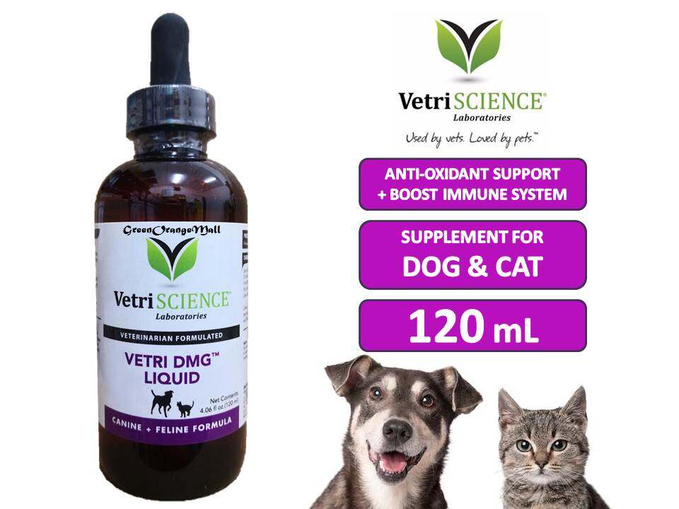 vetri dmg tablets for dogs vetri dmg tablets for dogs
