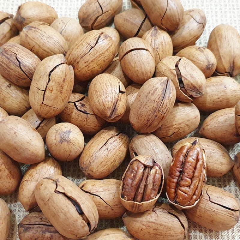 胡桃600g的價格推薦 21年9月 比價比個夠biggo