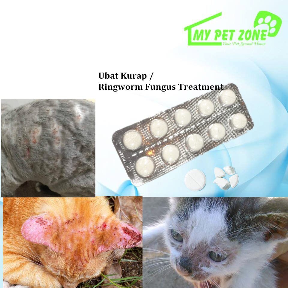 Ubat Kurap Kucing Tablet Price u0026 Promotion - Nov 2021 BigGo Malaysia