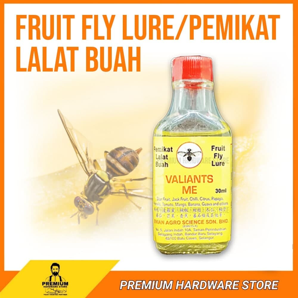 Lalat Buah Price Promotion May 2021 Biggo Malaysia