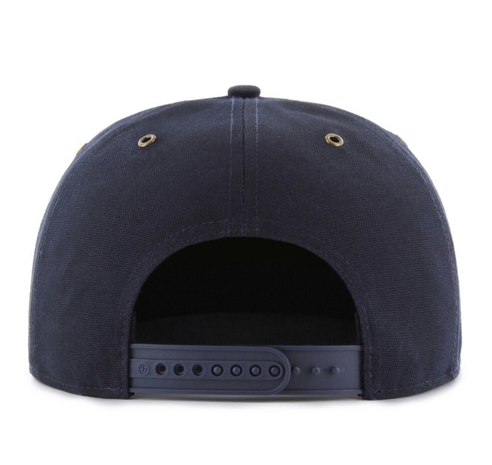 carhartt raptors hat