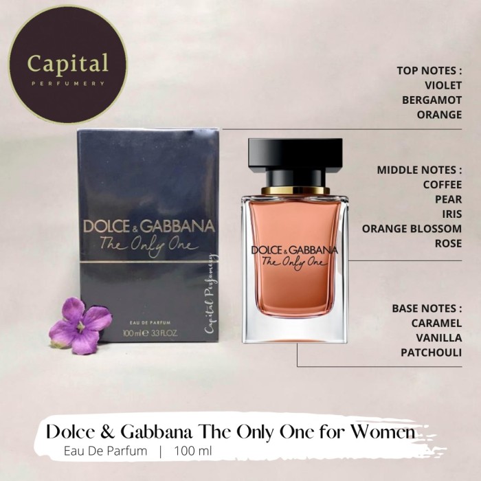 dolce gabbana vanilla