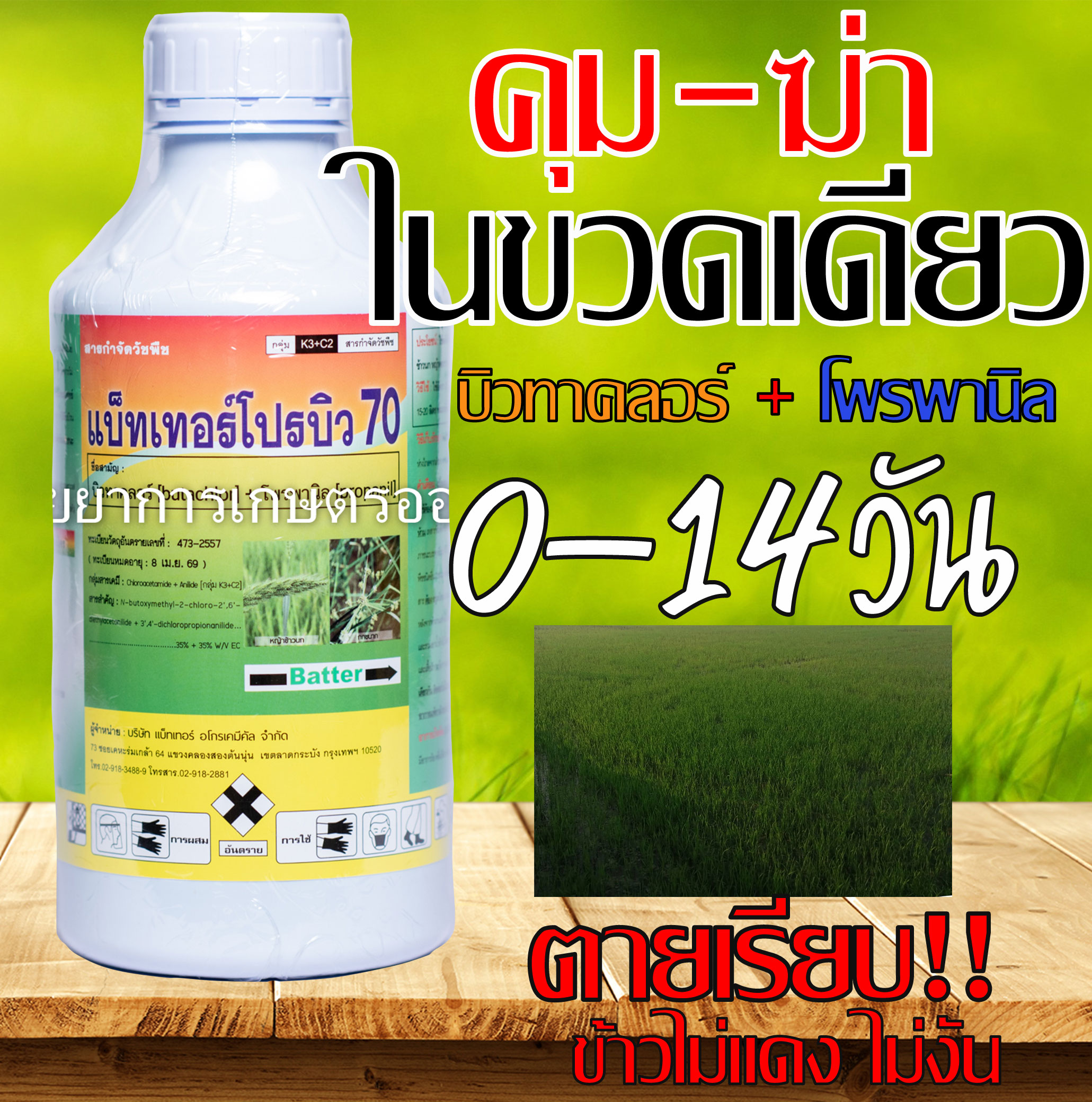 My Image 31