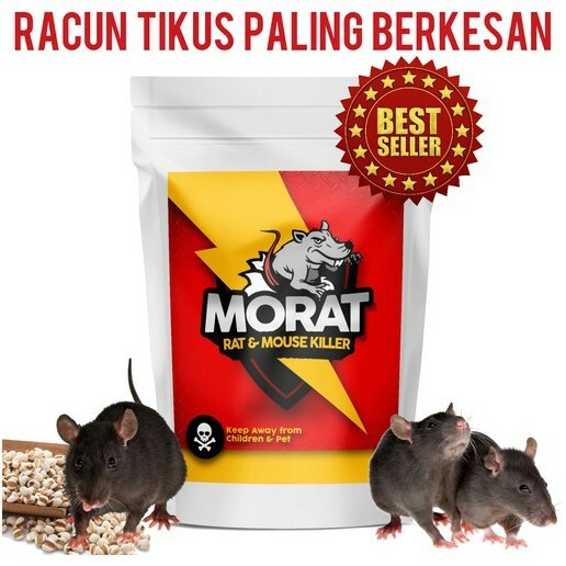 umpan tikus paling berkesan