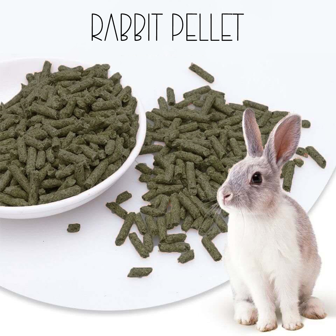 gold coin rabbit pellet