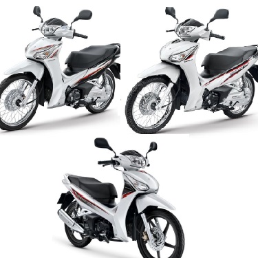 125i ปลาวาฬช ดส ถ กท ส ด พร อมโปรโมช น ก พ 22 Biggo เช คราคาง ายๆ