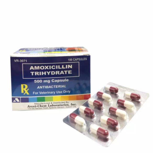 Amoxicillin 500mg Price Voucher Nov 2021 Biggo Philippines