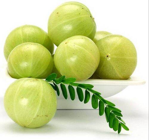 Amla Fruit Price Promotion Nov 2021 Biggo Malaysia