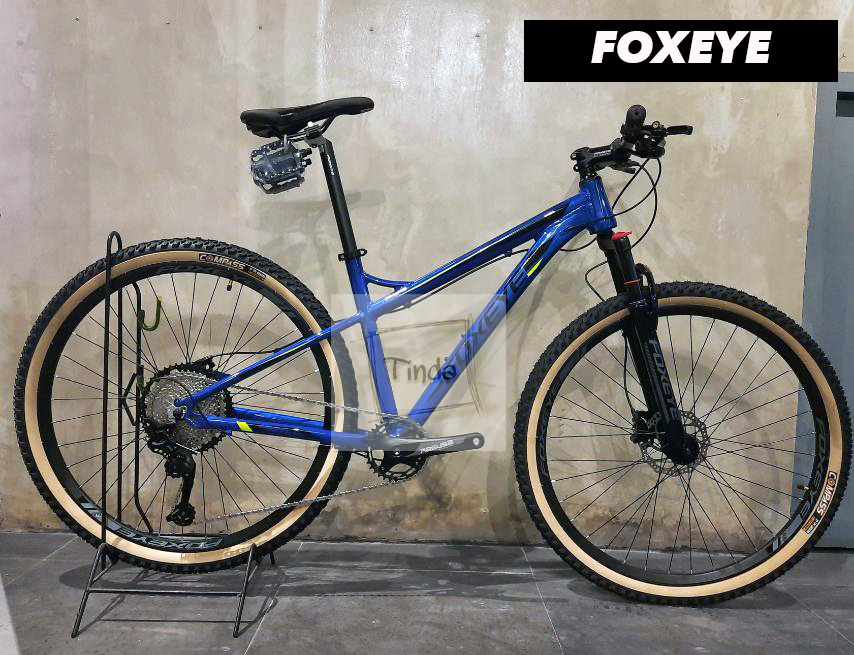 foxeye bike 29er