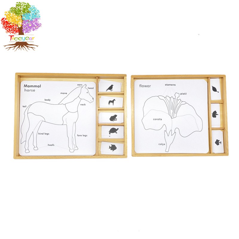 Em スーパーマリオ 塗り絵 ぬり絵 塗絵 知育プリント 知育教材 じゃんけんカード付き ぬりえ 知育玩具 日本製 紙ひこうき マリオカート