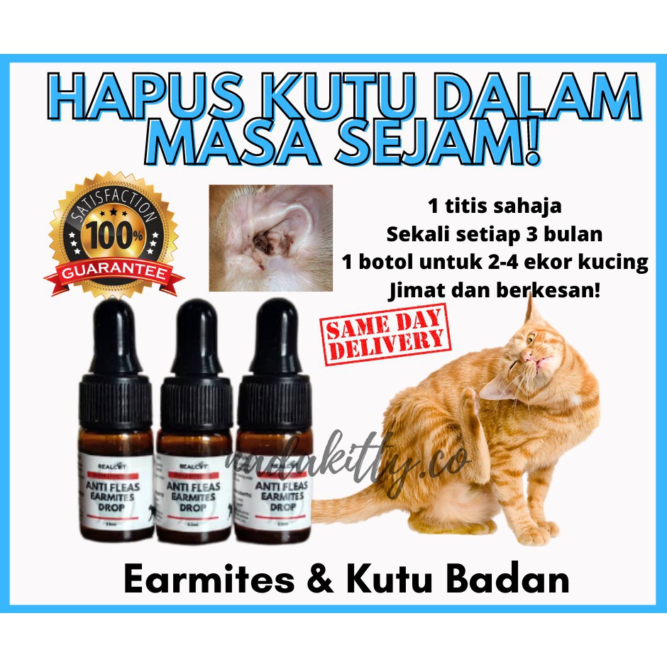 Ubat Kutu Kucing Price u0026 Promotion - Nov 2021 BigGo Malaysia