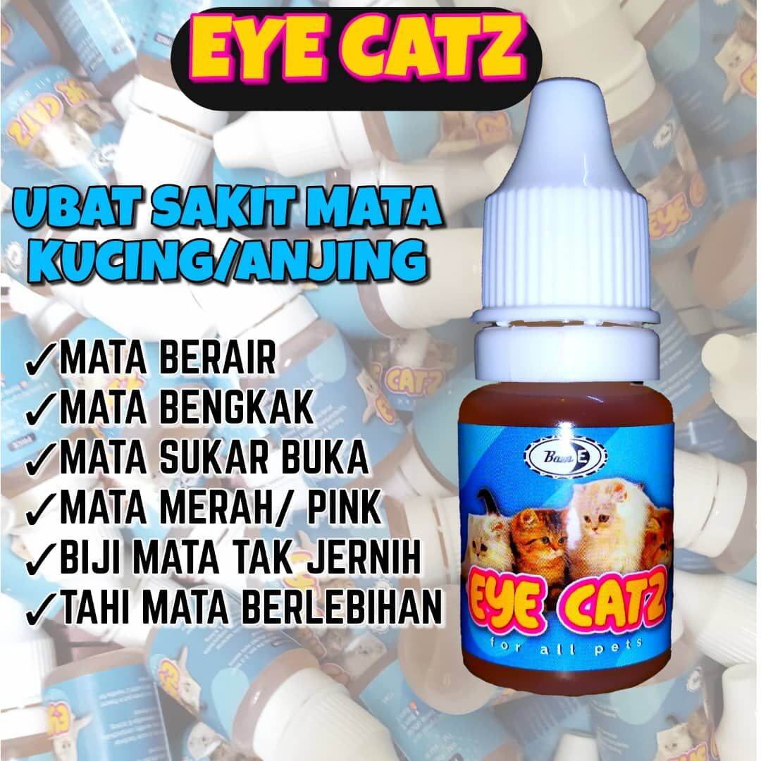 Eye Care Kucing Price u0026 Promotion - Nov 2021 BigGo Malaysia