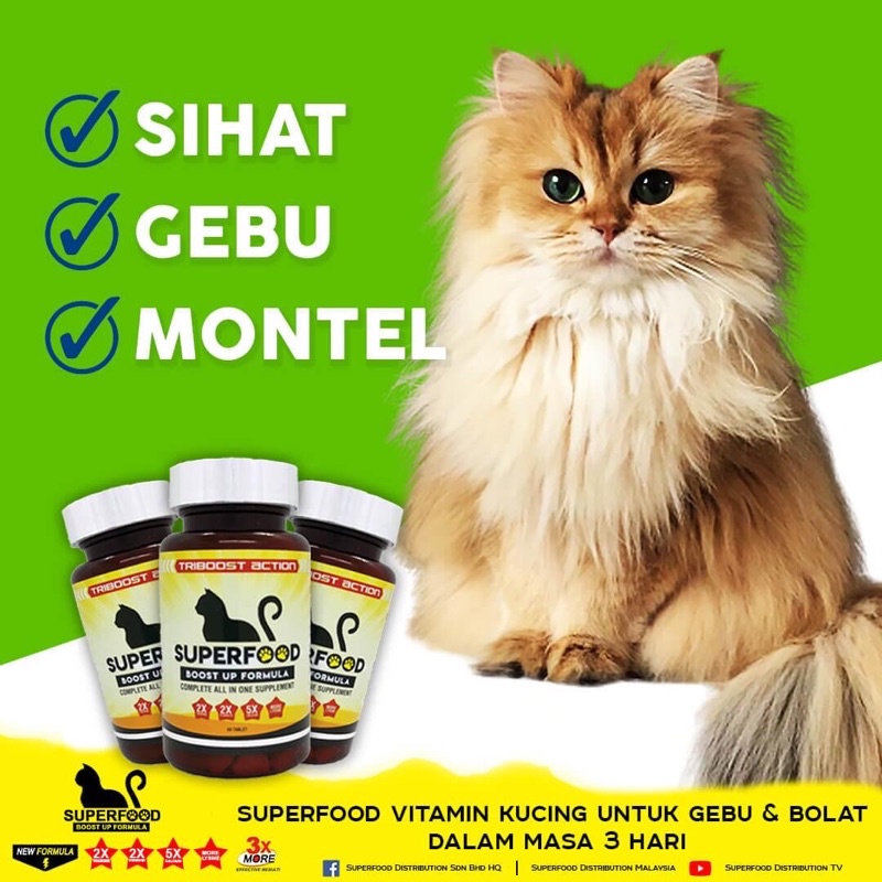 Vitamin Kucing Gebu Price u0026 Promotion - Nov 2021 BigGo Malaysia