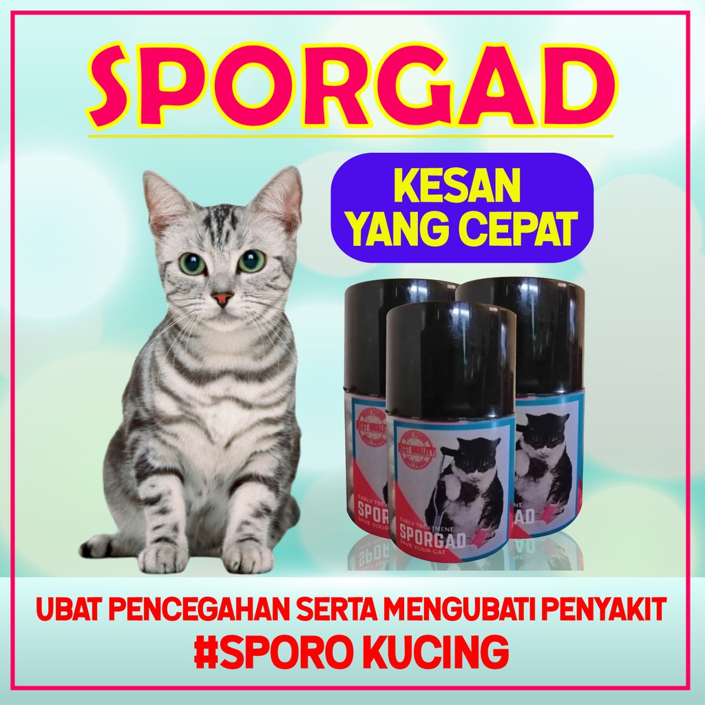 Demam Cirit Kucing Price u0026 Promotion - Nov 2021 BigGo Malaysia