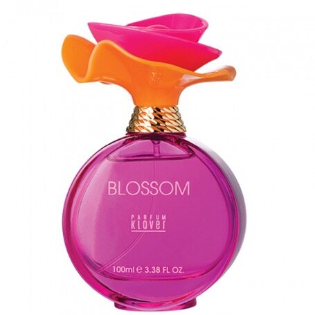 noir parfum klover 100ml price