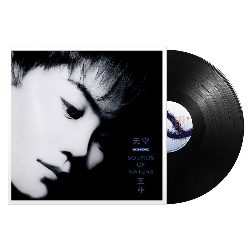 王菲 フェイウォン Faye Wong 天空 香港盤 LP レコード 王靖雯 - 邦楽