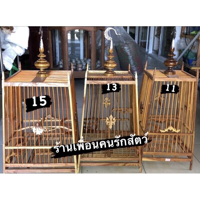 My Image 4