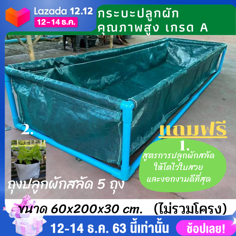 My Image 26