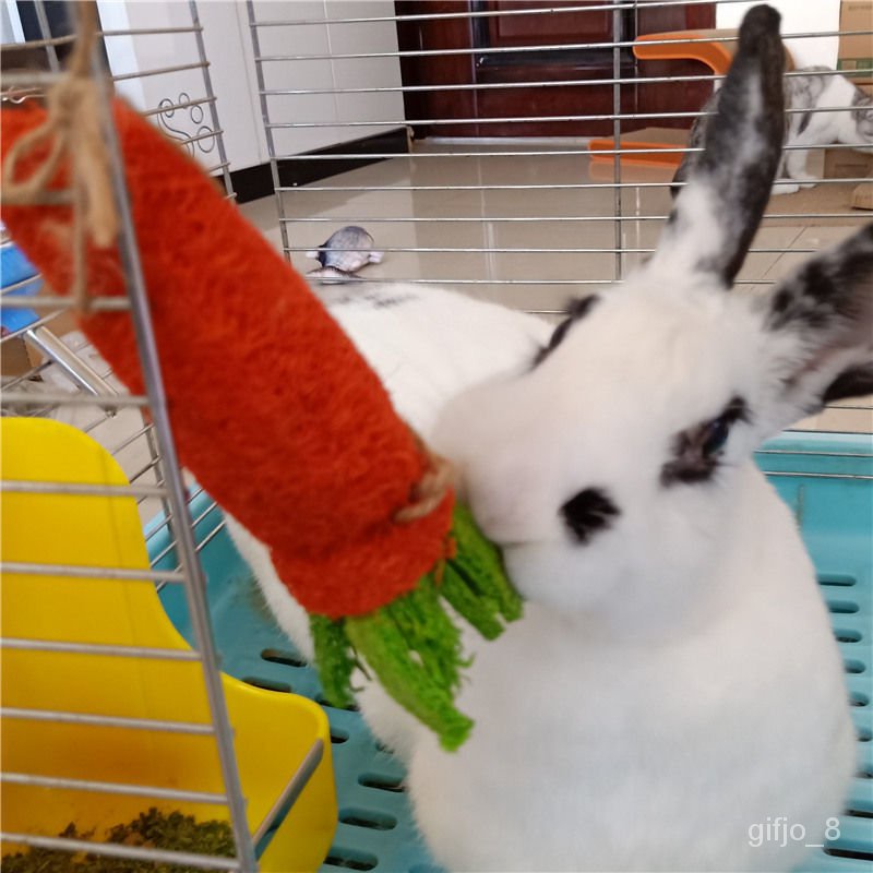 Arnab Price Promotion Nov 2021 Biggo Malaysia